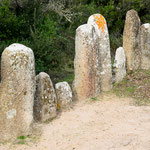 Menhire - davon wurden hier hunderte gefunden