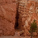 die Personen ganz unten zeigen die Höhe