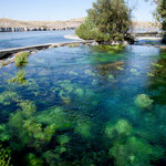 Die "Giant Spring" entspringt direkt neben dem Missouri....