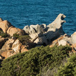 Und auch hier gibt es allerhand "Gestalten" in den Felsbrocken