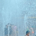 .....alle genießen das Nass.....