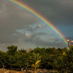 Ein toller Regenbogen am frühen Morgen....
