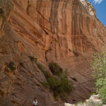 Der Cottonwood Canyon....