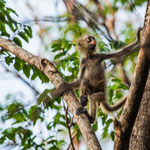 ...."und er will dass ich da hochkomme - soll er mich doch holen".....