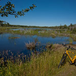 Radltour am Swiftcurrent Creek