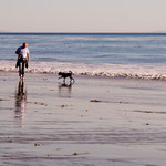 Oskar freut sich wenn "Boss" Christian mal zu Hause ist