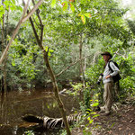 ....aber von den kleinen "Stechern" darf man sich nicht abhalten lassen.....