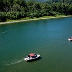 Der Wal im Klamath und Neugierige auf Booten