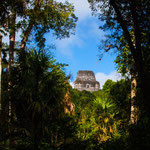 .....und ist heute ein geschützter Park.....