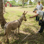 ....dieser kleine Kerl war sofort unser Freund....