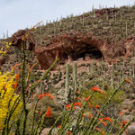 Das Tonto Nat. Monument hoch oben im Berg....