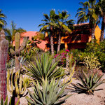 Der tropische Garten des Hotels / Restaurants "Posada La Poza"