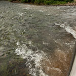 ....und wieder durch den Fluss.....