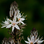 Und wissen nicht wie sie heißen