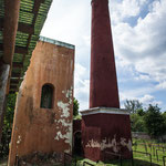 .....befeuert wurde sie von den 25 Jahre alten und ausrangierten Sisalpflanzen.