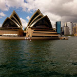 Die weltberühmte "Sydney Oyster"