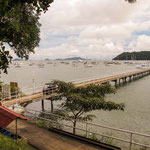 ....der Balboa Yachtclub mit seinem riesigen Steg......