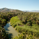.....und der Rio Mulege