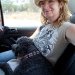 Milo fühlt sich pudelwohl bei Claudia