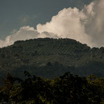 Die Berghänge sind überall geometrisch parzelliert (wertvolle Kaffeepflanzen)