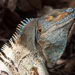 .....sind scheu aber doch neugierig.........