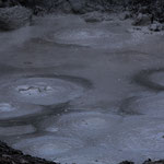 ....die siedend heißen Schlammpools....