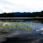 .....der Rio Dulce ist einfach nur schön......