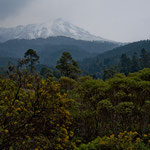 Vulkan Nevado de Toluca im Hintergrund
