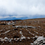 Das indianische "medicine wheel" - einige hundert Jahre alt