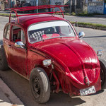 Auch so kann ein Käfer aussehen