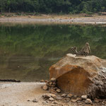 ...dafür wird diese Badenixe auch nicht nass....