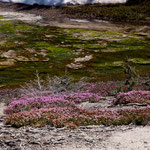 unglaublich schöne Farben