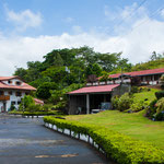 .....und traten voll in die Bremsen.....