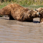 ....wie freundschaftlich ist dies wirklich??
