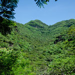 Dort hinauf führte unser "Irrweg"