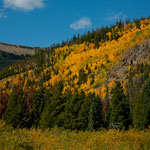 Der "Indian Summer" hat begonnen....