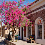 Einfach aber ansprechend