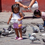 "und wen füttere ich jetzt?"