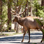 Am letzten Tag bekamen wir Besuch....