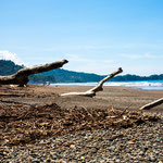 ....auch Treibholz kann schön sein.....