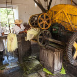 .....hier sieht man die noch nassen Sisalfasern....
