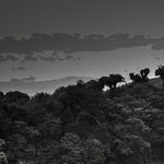 ....im Hintergrund sind keine Wolken sondern 100erte kleine Inseln.....