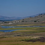 das "Lamar River Valley" im Yellowstone Park.....