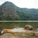 ....nicht unbedingt smaragd-grün....