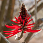 "einfach nur schön"