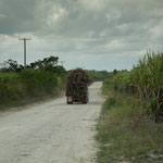 Zuckerrohr Laster - die einzigen Verkehrsteilnehmer ausser uns.