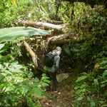Bei unserer Tour ging es auch mal unter und über umgefallene Bäume....