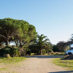 Hier fanden wir einen wunderschönen Übernachtungsplatz