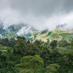 ....nur die hohen Berge sind meistens im Nebel verhüllt