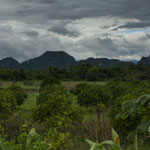 ....die Bergwelt geht bis auf 1.200m hoch.....